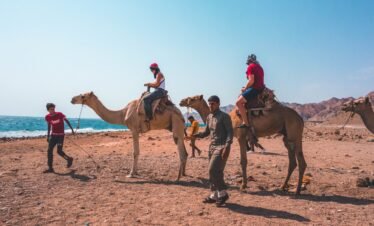 Camel ride